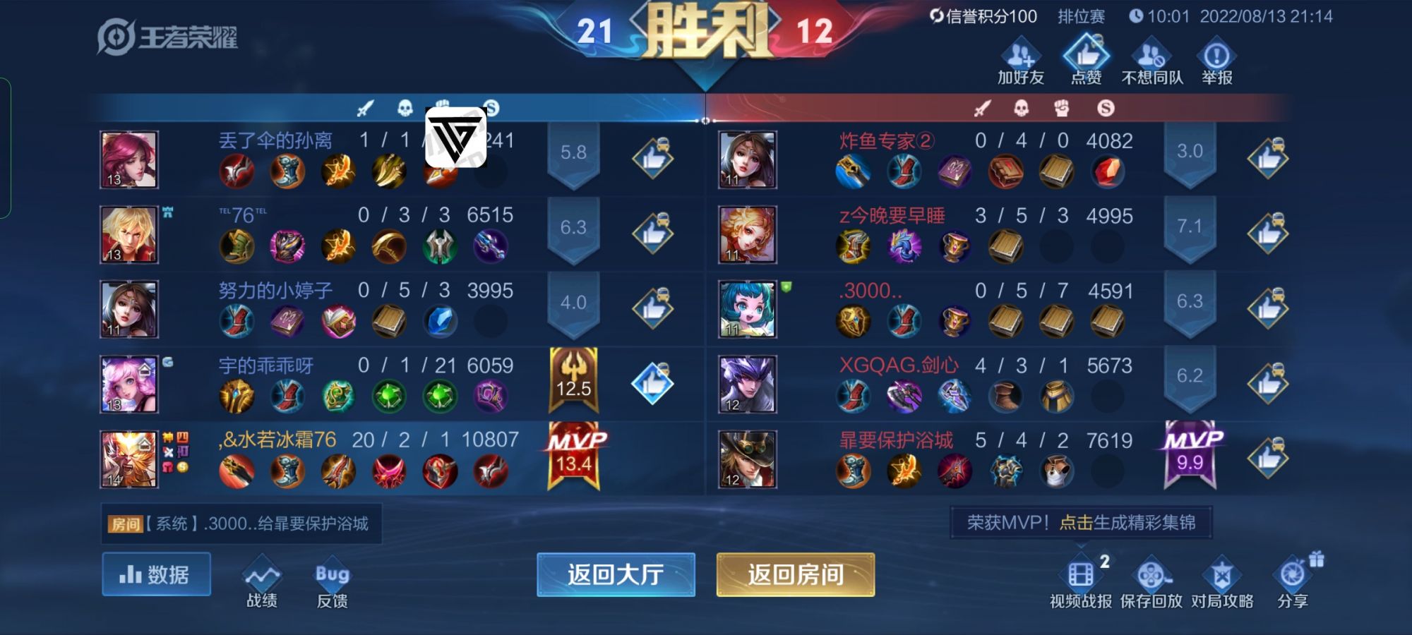王者荣耀辅助《坚果》内部